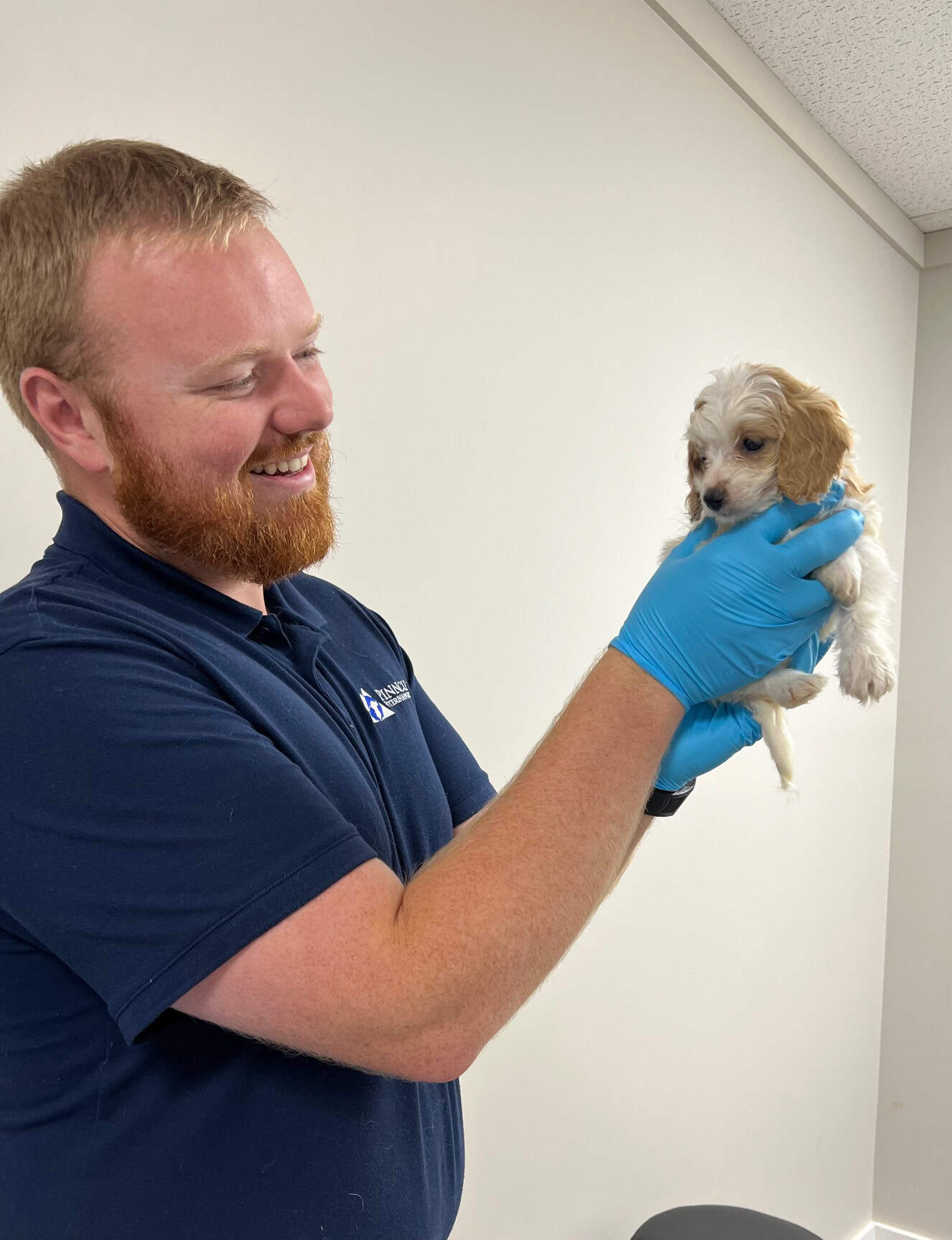 363b623c-9558-4c54-82ed-1b409e2652e7