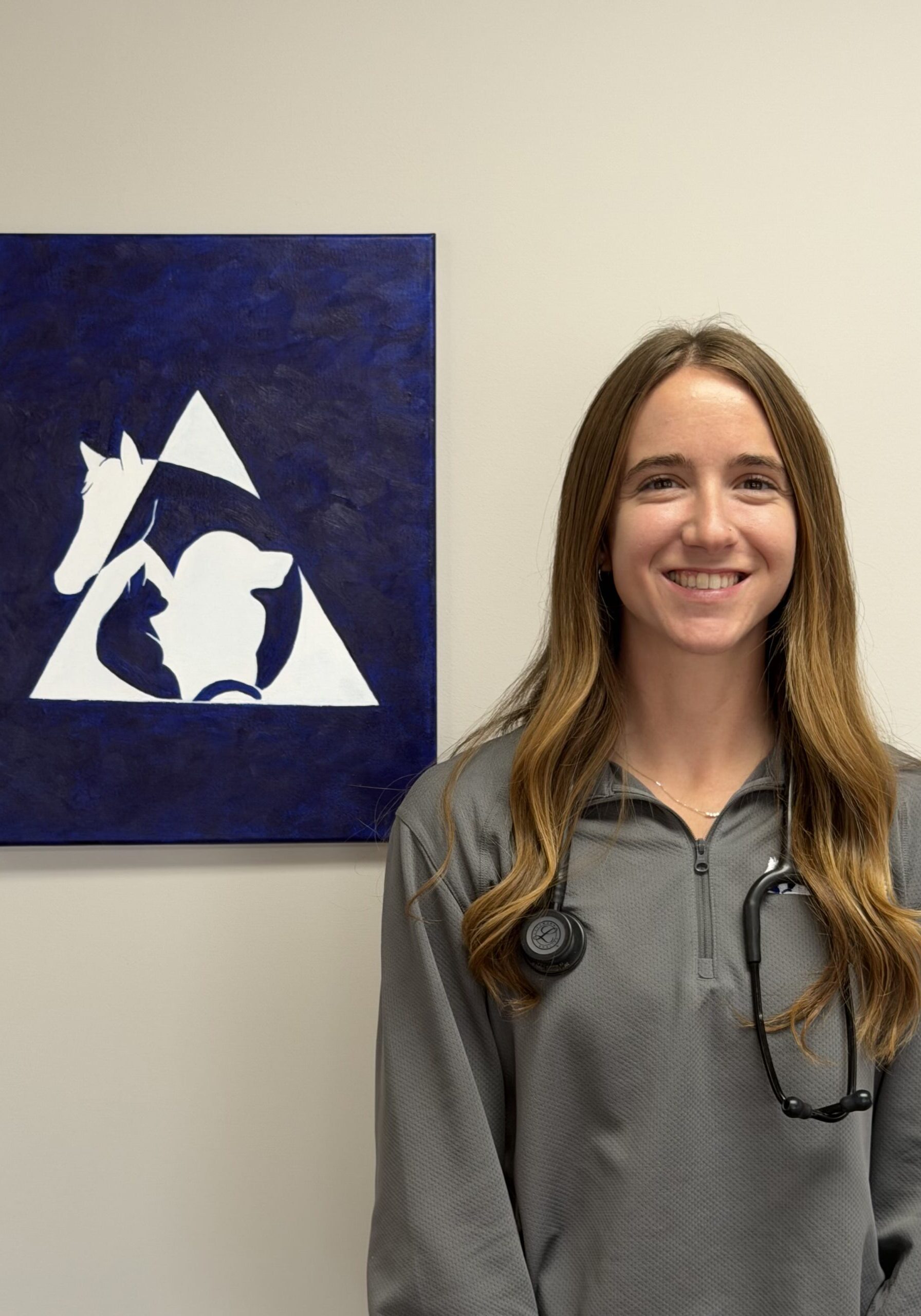 54bd305a-7ba9-4667-9349-4c86a7ca9dce